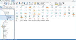 Die Discovery Funktion in IT Asset Managément mit NetSupport DNA